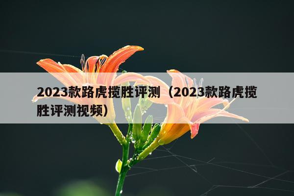 2023款路虎揽胜评测（2023款路虎揽胜评测视频）