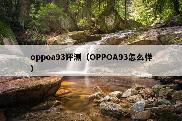 oppoa93评测（OPPOA93怎么样）