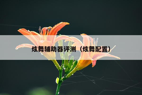 炫舞辅助器评测（炫舞配置）