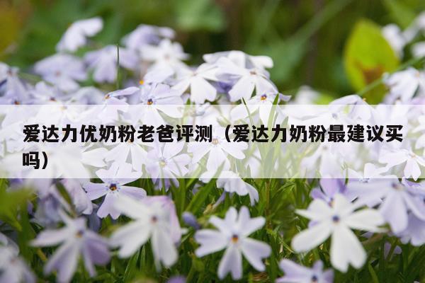 爱达力优奶粉老爸评测（爱达力奶粉最建议买吗）