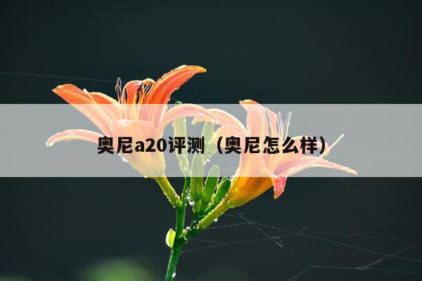奥尼a20评测（奥尼怎么样）