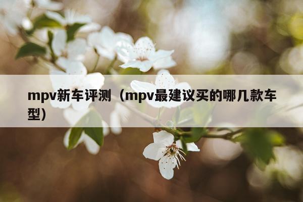 mpv新车评测（mpv最建议买的哪几款车型）