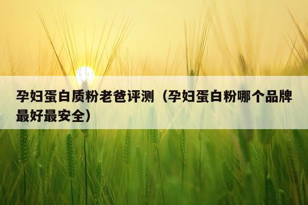 孕妇蛋白质粉老爸评测（孕妇蛋白粉哪个品牌最好最安全）