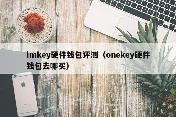 imkey硬件钱包评测（onekey硬件钱包去哪买）