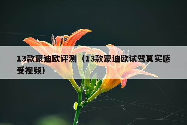 13款蒙迪欧评测（13款蒙迪欧试驾真实感受视频）