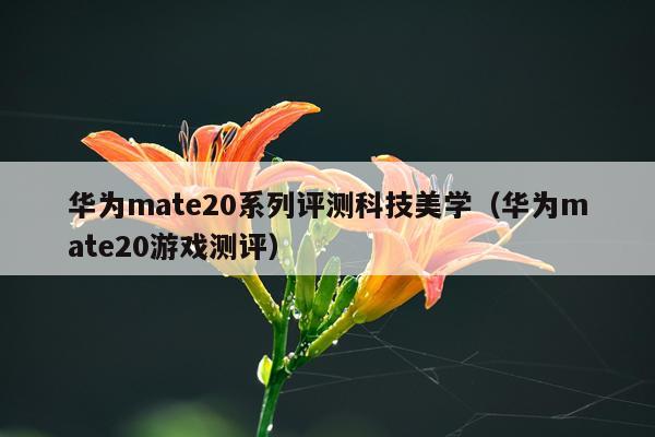 华为mate20系列评测科技美学（华为mate20游戏测评）