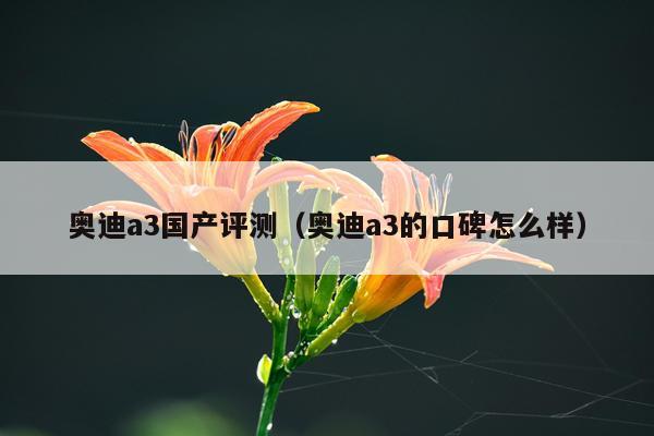 奥迪a3国产评测（奥迪a3的口碑怎么样）