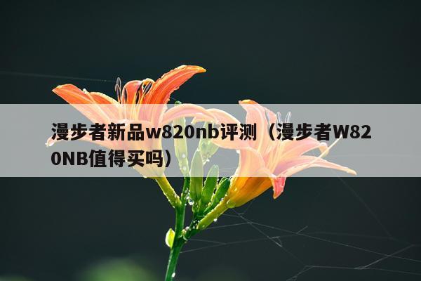 漫步者新品w820nb评测（漫步者W820NB值得买吗）