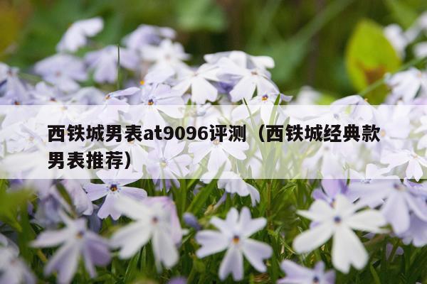 西铁城男表at9096评测（西铁城经典款男表推荐）