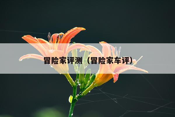 冒险家评测（冒险家车评）