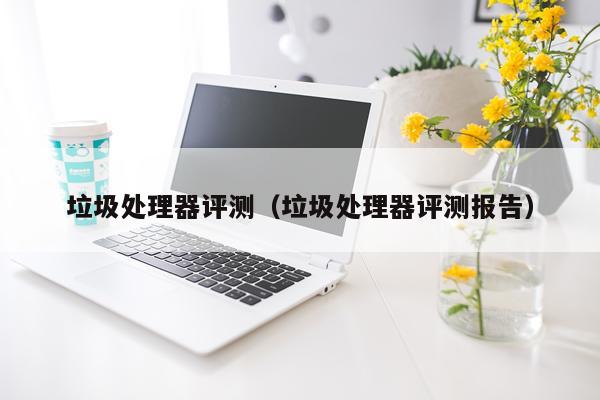 垃圾处理器评测（垃圾处理器评测报告）