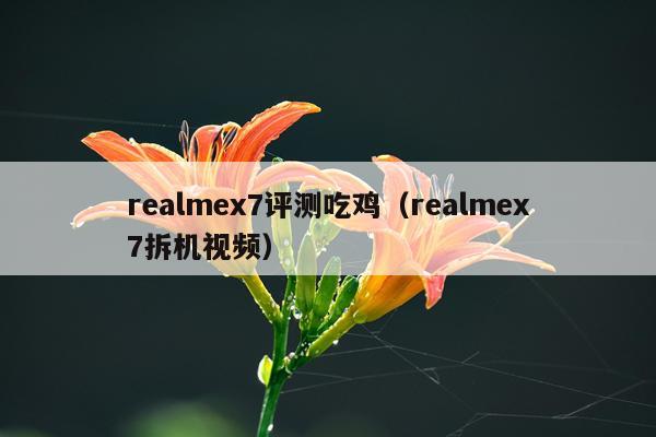 realmex7评测吃鸡（realmex7拆机视频）