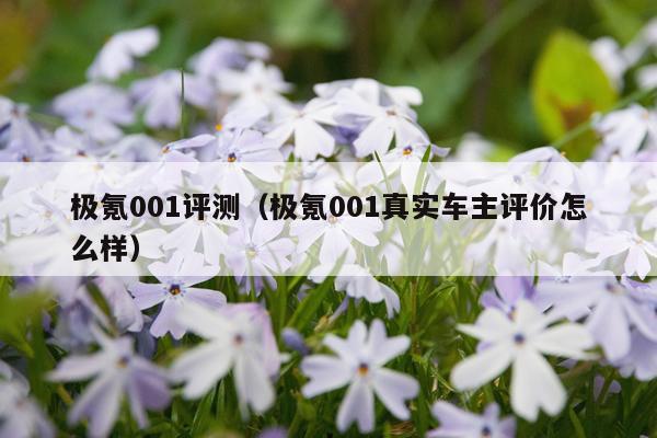 极氪001评测（极氪001真实车主评价怎么样）