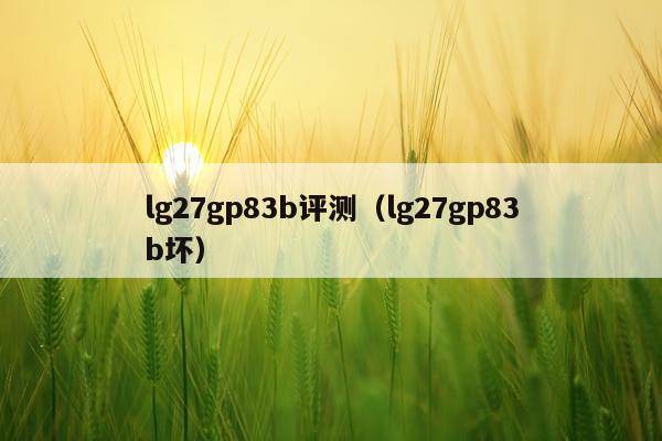 lg27gp83b评测（lg27gp83b坏）