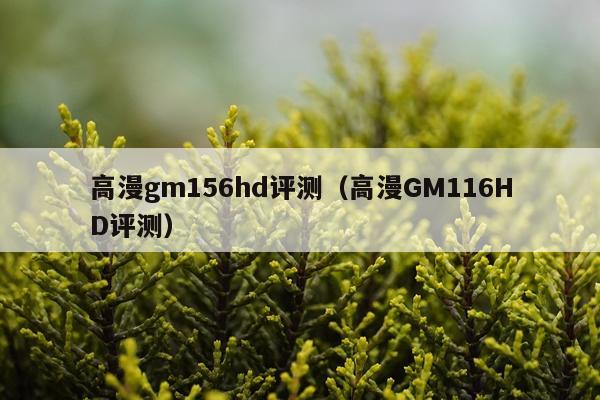 高漫gm156hd评测（高漫GM116HD评测）