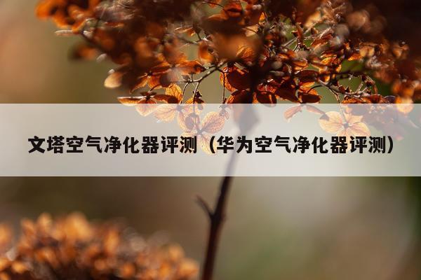 文塔空气净化器评测（华为空气净化器评测）
