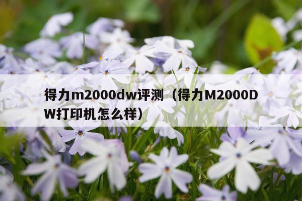 得力m2000dw评测（得力M2000DW打印机怎么样）