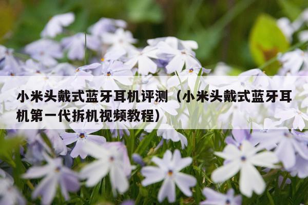 小米头戴式蓝牙耳机评测（小米头戴式蓝牙耳机第一代拆机视频教程）