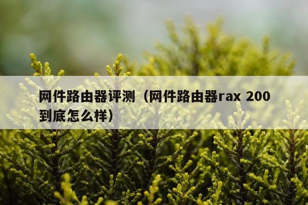 网件路由器评测（网件路由器rax 200到底怎么样）