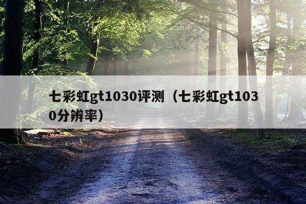 七彩虹gt1030评测（七彩虹gt1030分辨率）