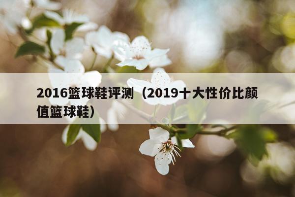 2016篮球鞋评测（2019十大性价比颜值篮球鞋）