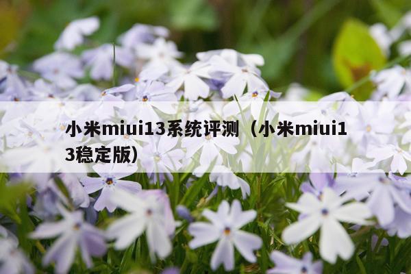 小米miui13系统评测（小米miui13稳定版）