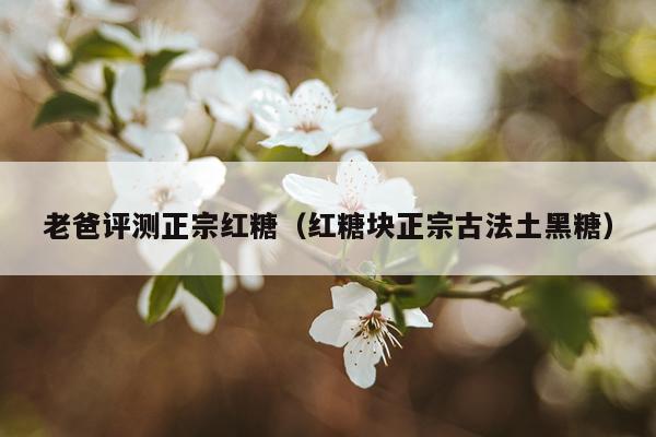 老爸评测正宗红糖（红糖块正宗古法土黑糖）