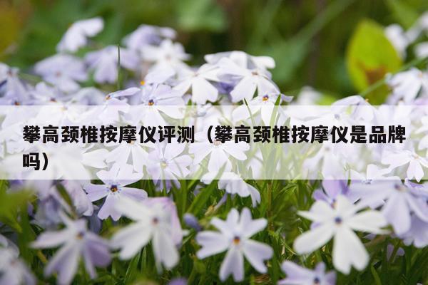 攀高颈椎按摩仪评测（攀高颈椎按摩仪是品牌吗）