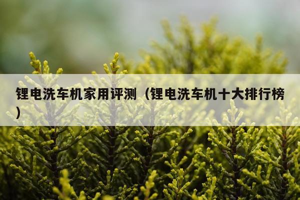 锂电洗车机家用评测（锂电洗车机十大排行榜）