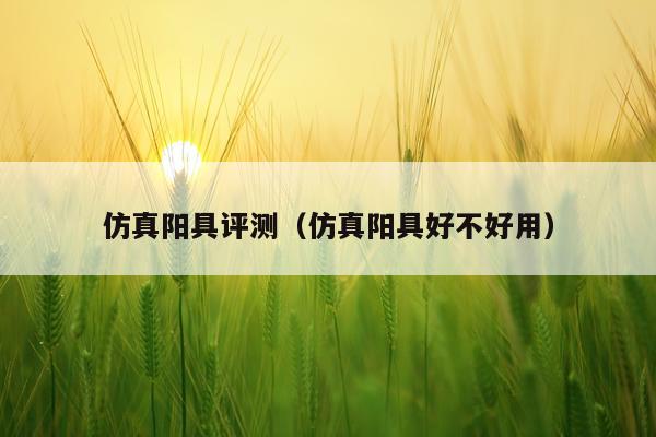 仿真阳具评测（仿真阳具好不好用）
