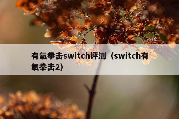 有氧拳击switch评测（switch有氧拳击2）