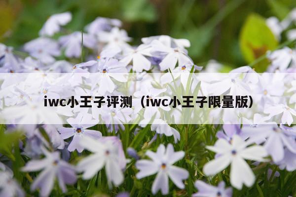 iwc小王子评测（iwc小王子限量版）