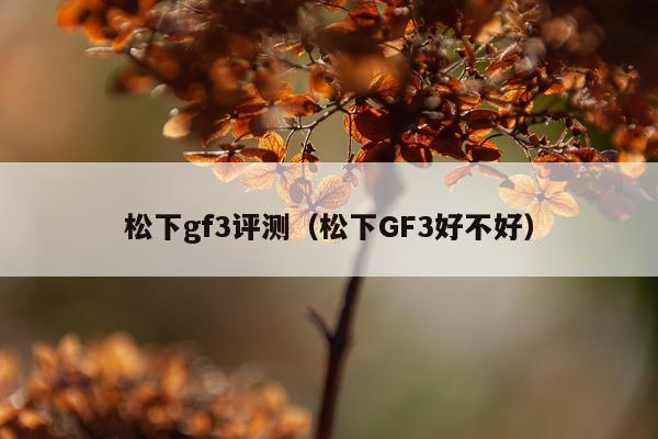 松下gf3评测（松下GF3好不好）