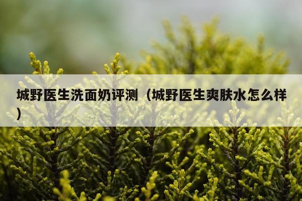 城野医生洗面奶评测(城野医生爽肤水怎么样)
