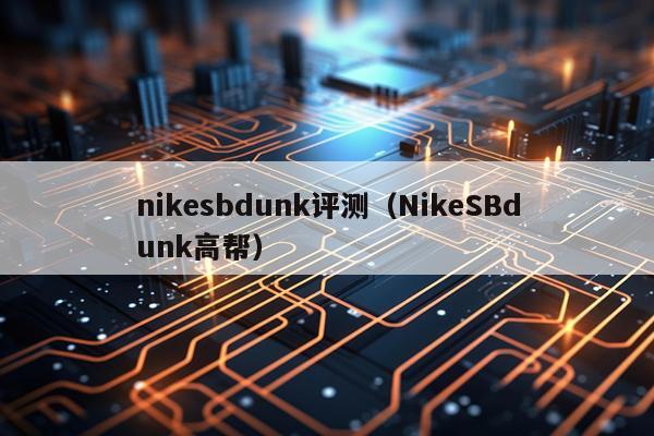 nikesbdunk评测(NikeSBdunk高帮)