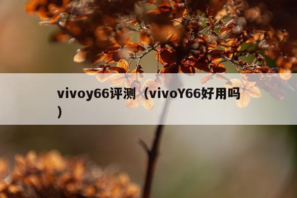 vivoy66评测（vivoY66好用吗）