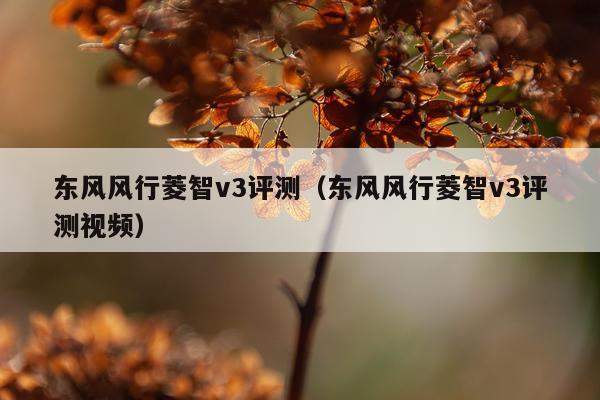 东风风行菱智v3评测（东风风行菱智v3评测视频）