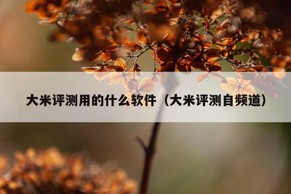 大米评测用的什么软件（大米评测自频道）
