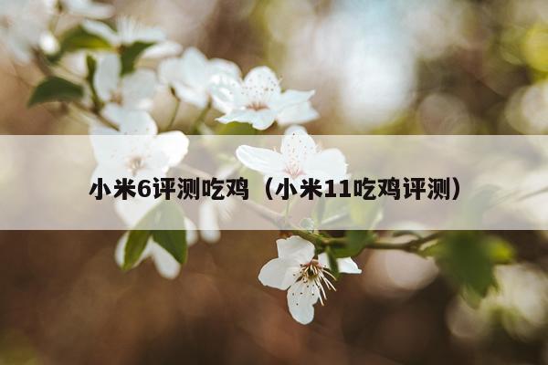 小米6评测吃鸡（小米11吃鸡评测）