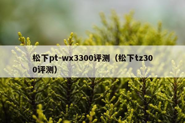松下pt-wx3300评测（松下tz300评测）