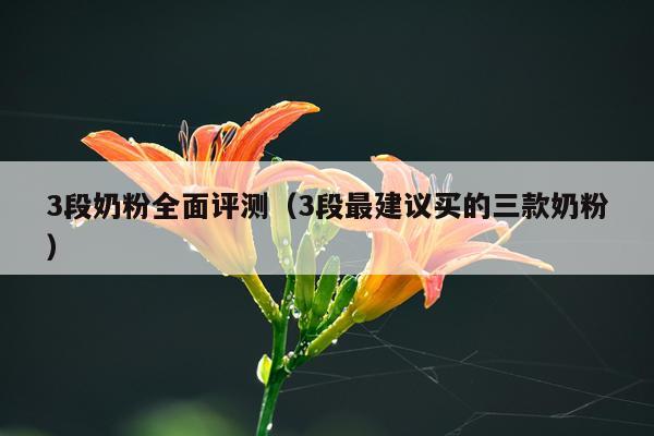 3段奶粉全面评测（3段最建议买的三款奶粉）
