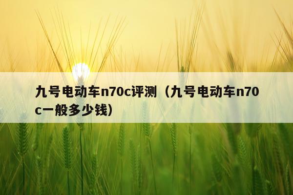 九号电动车n70c评测（九号电动车n70c一般多少钱）