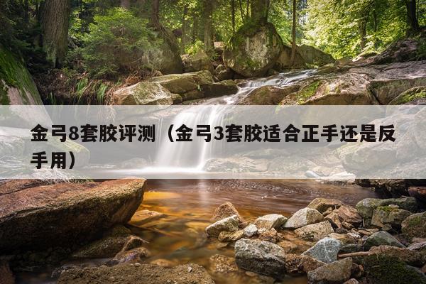 金弓8套胶评测(金弓3套胶适合正手还是反手用)