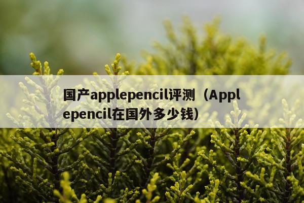 国产applepencil评测(Applepencil在国外多少钱)
