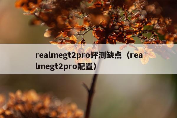 realmegt2pro评测缺点（realmegt2pro配置）
