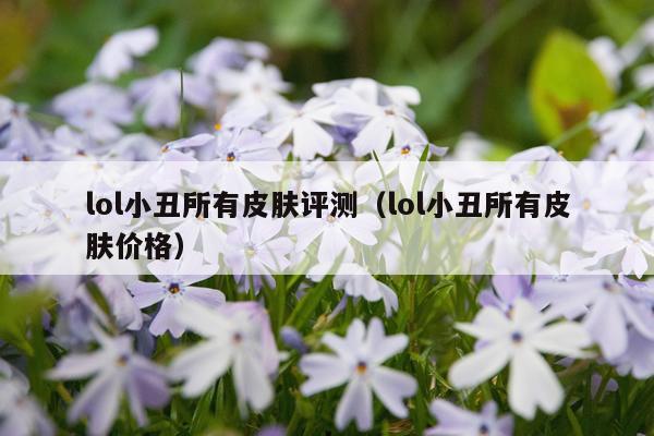 lol小丑所有皮肤评测（lol小丑所有皮肤价格）
