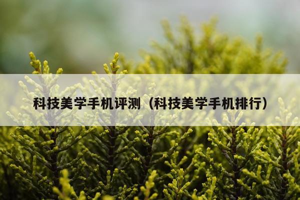 科技美学手机评测（科技美学手机排行）