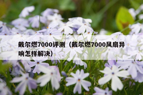 戴尔燃7000评测（戴尔燃7000风扇异响怎样解决）