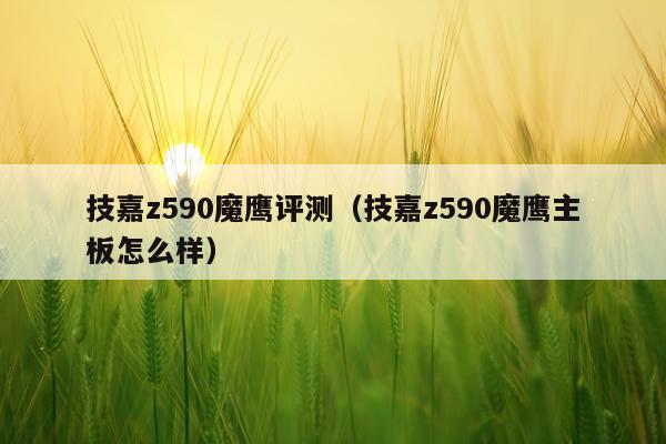技嘉z590魔鹰评测（技嘉z590魔鹰主板怎么样）