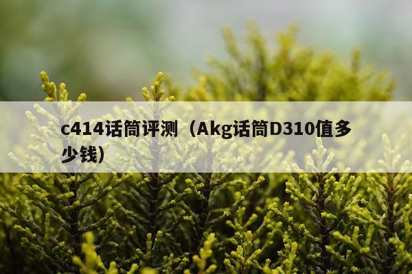 c414话筒评测（Akg话筒D310值多少钱）